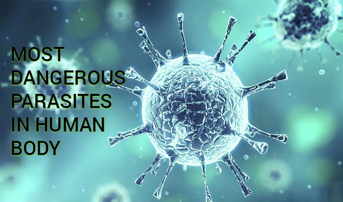 Dangerous Parasites